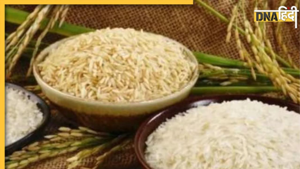 Health Benefits of Basmati Rice: कब्ज, हार्ट हेल्थ समेत इन 5 बीमारियों में फायदेमंद है ये चावल, डाइट में कर लें शामिल 