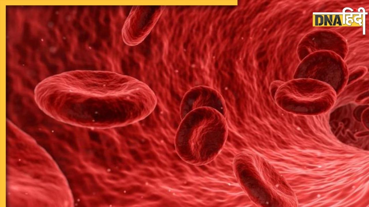 Natural Blood Purifier: गंदे खून को फिल्टर कर देते हैं ये 5 फूड्स, आसपास भी नहीं भटकती बीमारी