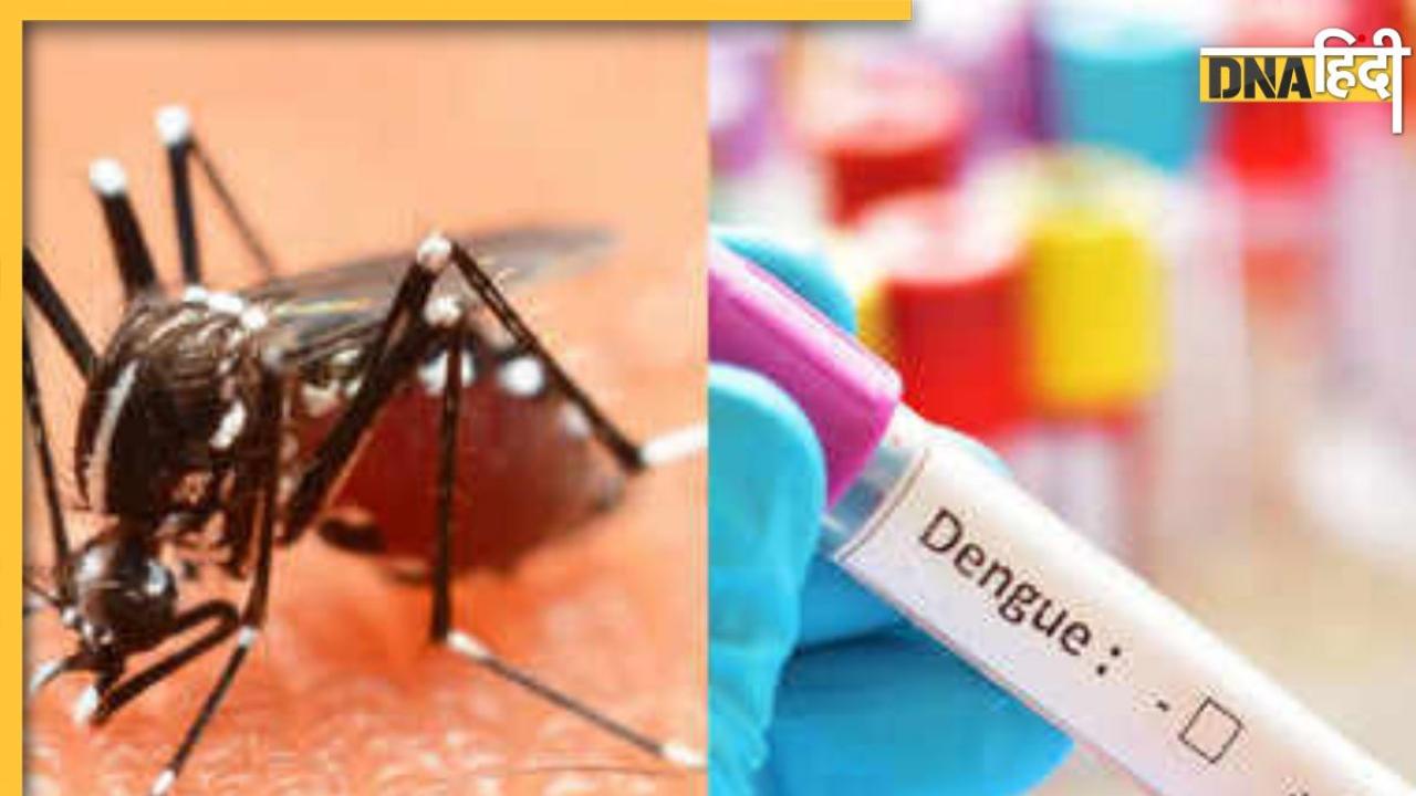 Dengue Symptoms: तेजी से फैल रहा है 3 तरह का डेंगू, शरीर में नजर आएं ये 5 लक्षण तो हो जाएं सावधान