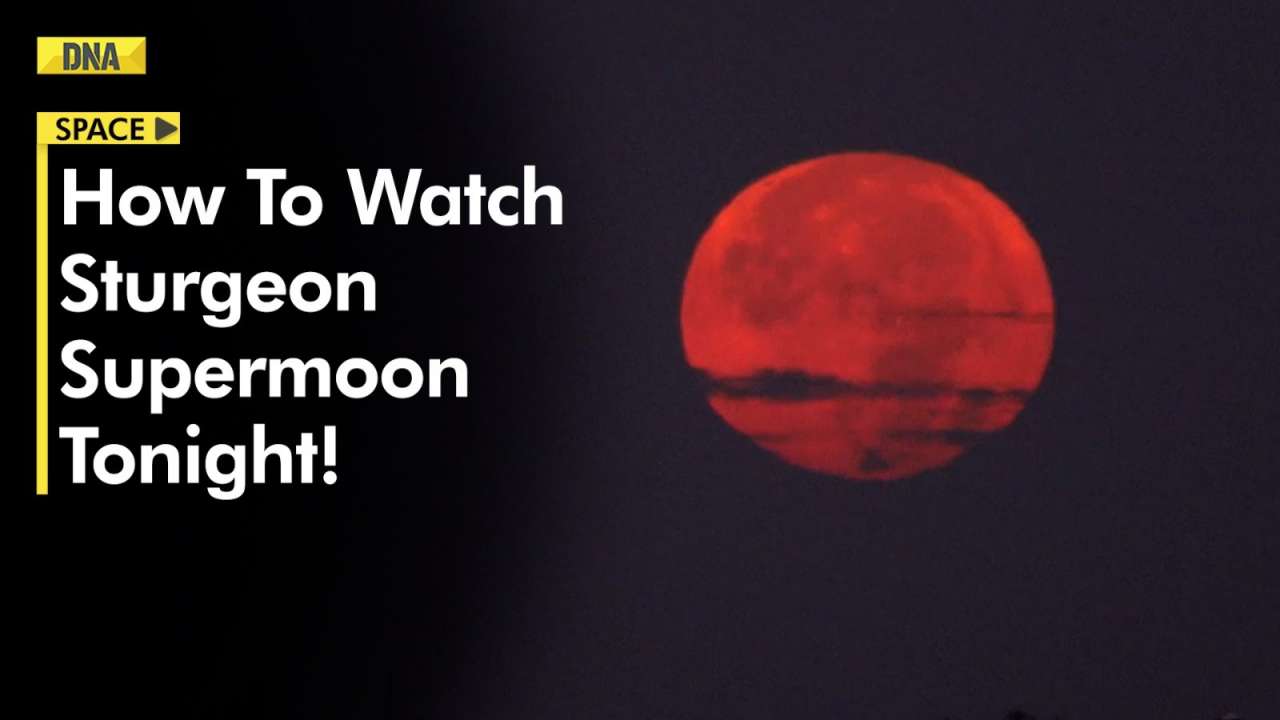 Do you want to see the "Sturgeon Moon," first supermoon of August? know