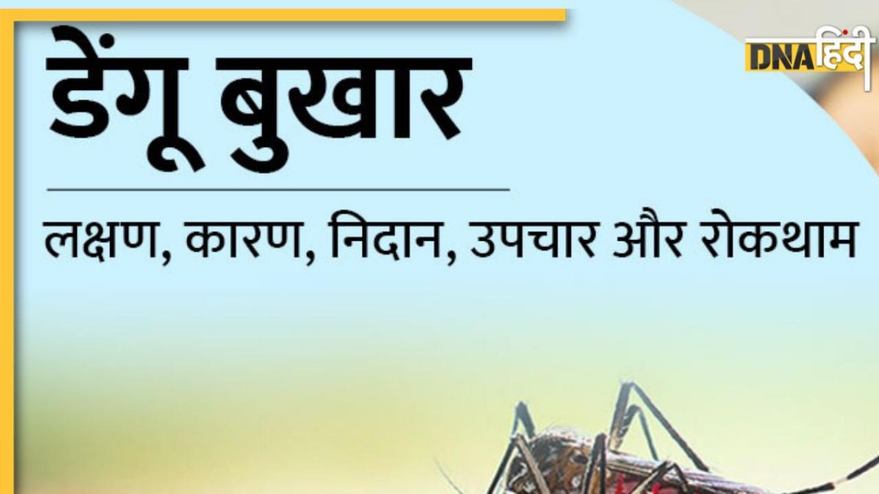 Dengue Care: लक्षणों से लेकर सावधानियों तक: डेंगू के बारे जान लें सबकुछ, इमरजेंसी में नहीं जाना पड़ेगा अस्पताल