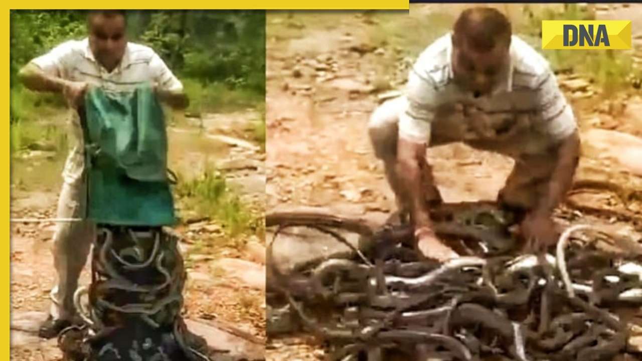 Old video of man releasing sea of snakes into the wild scares