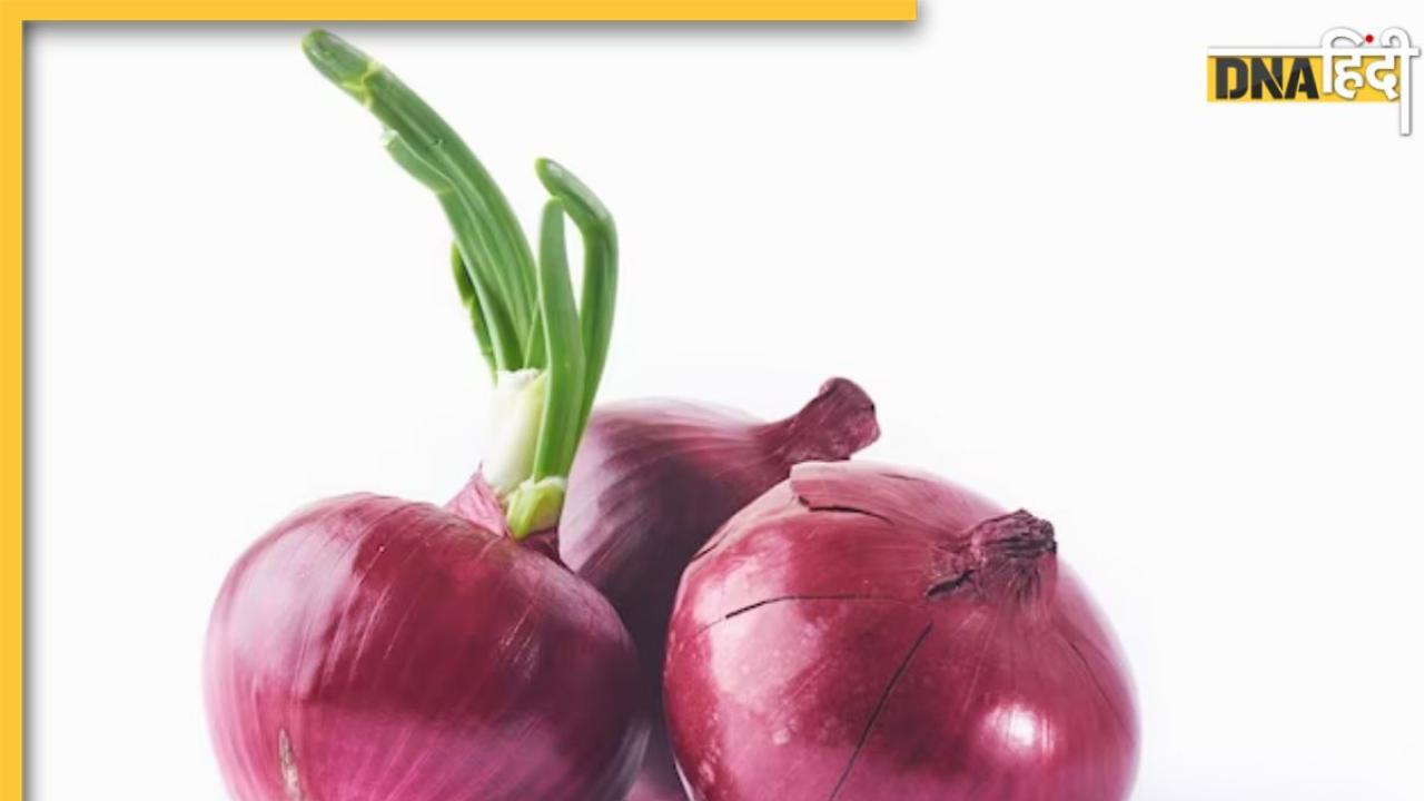 Sprouted Onion Benefits: नसों में जमा बैड कोलेस्ट्रॉल छानकर बाहर कर देगा अंकुरित प्याज, मिलेंगे कई और भी फायदे 