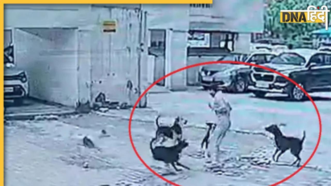 Viral Dog Attack Video: गाजियाबाद में बच्चे पर कुत्तों के हमले का वीडियो वायरल, नोएडा की पॉश सोसाइटी में भी बच्चे को काटा