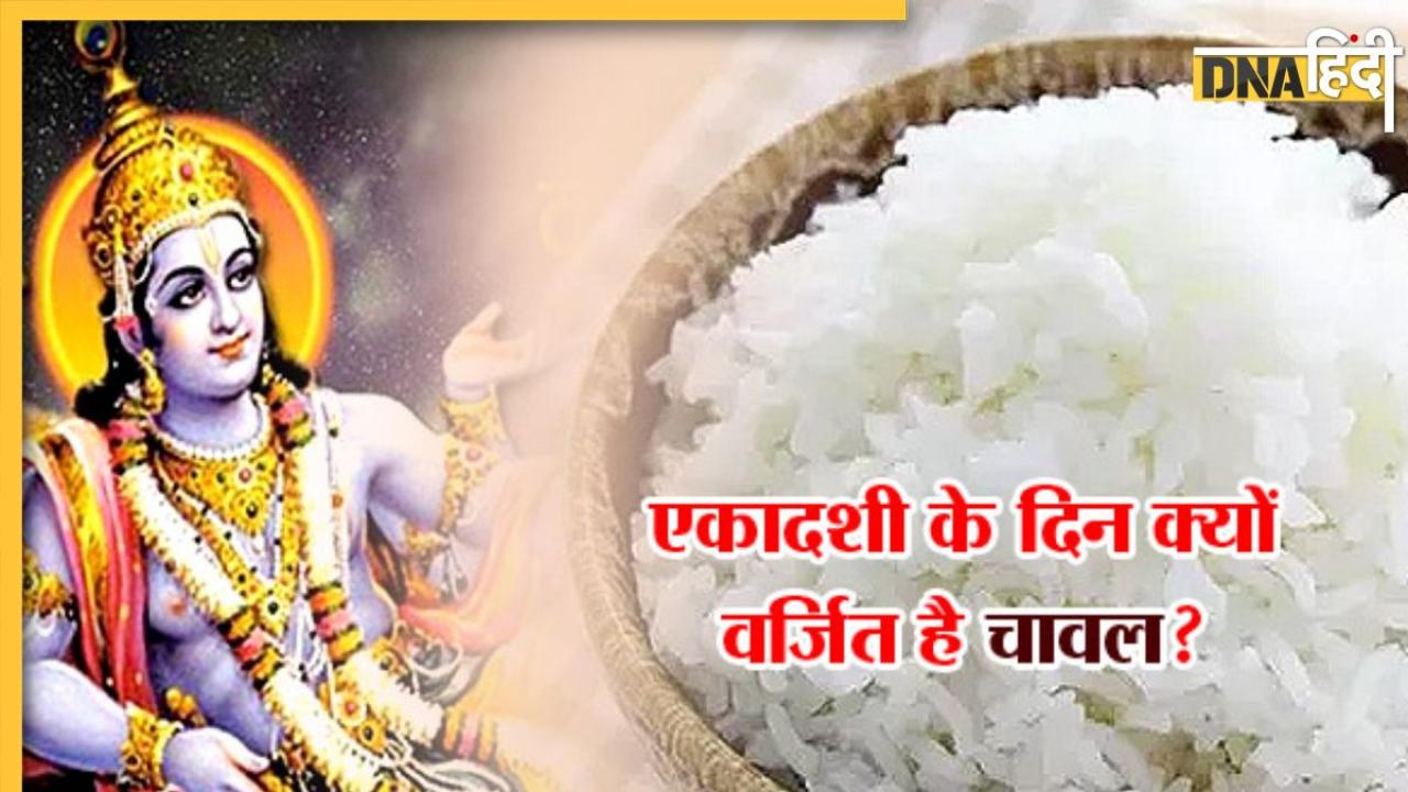 Ekadashi 2023: एकादशी पर क्यों नहीं खाने चाहिए चावल, जानें इसके पीछे की वजह और पाप से मुक्ति का उपाय