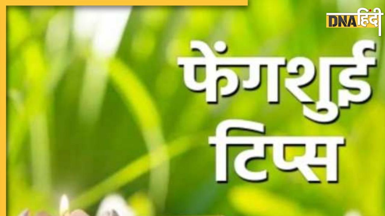 नौकरी और व्यापार में बाधाओं से हैं परेशान तो फेंगशुई करें ये उपाय, कभी खाली नहीं होगी जेब