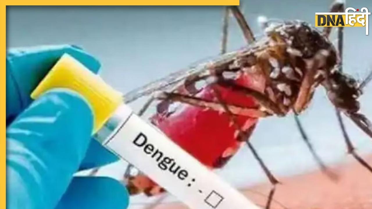 डेंगू से भी खतरनाक और जानलेवा होता है हेमरेजिक फीवर, तेजी से डाउन हो जाते हैं वाइट ब्लड सेल्स, जानें इसके लक्षण