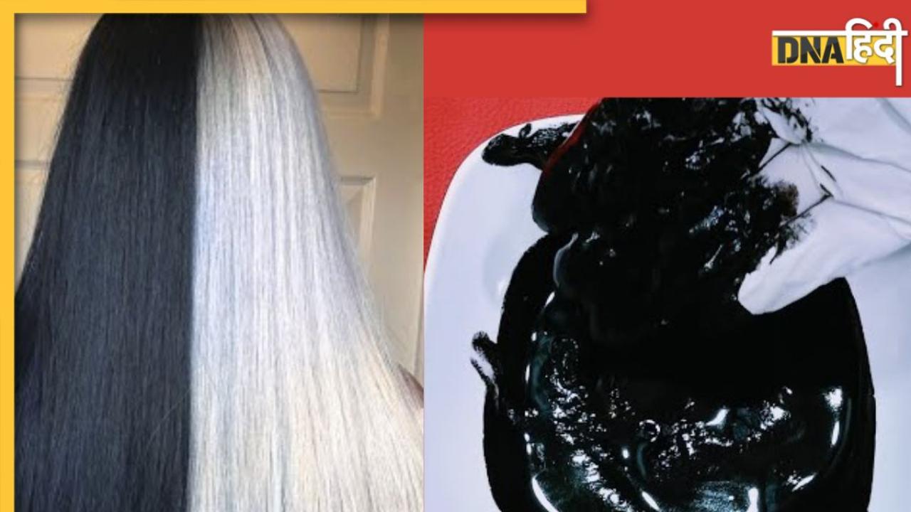 Black Hair Dye: बस ये 4 चीजें सफेद बालों को नेचुरली कर देंगी काला, इस तरह घर पर बनाएं हर्बल हेयर डाई 