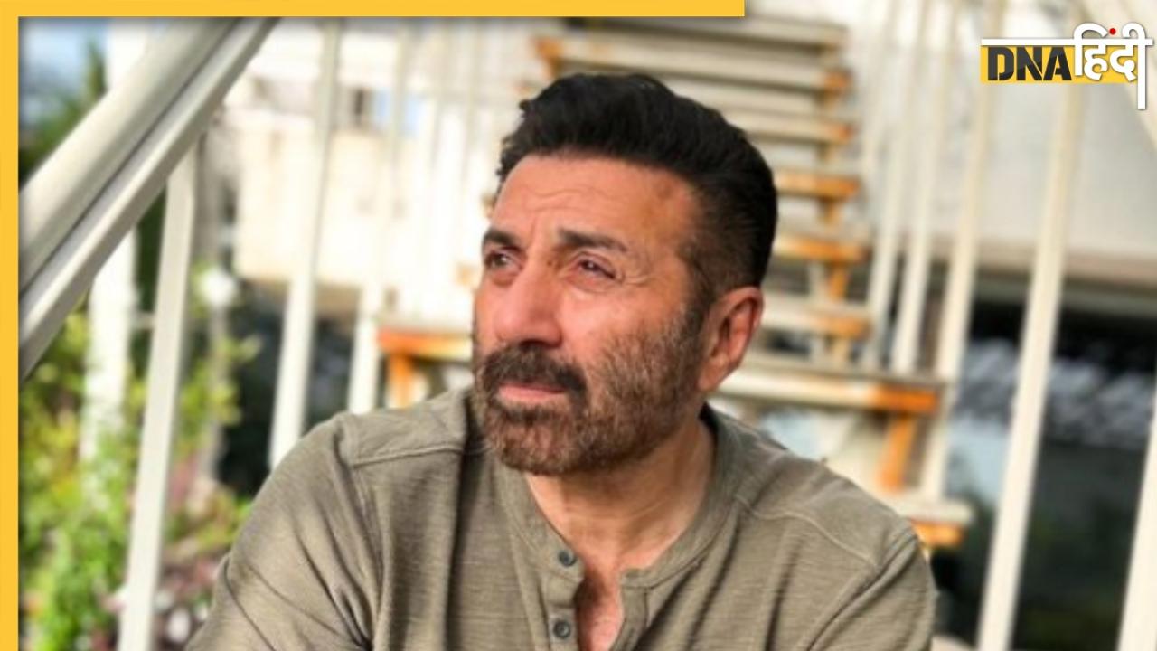 Gadar 2 की सक्सेस के बाद Sunny Deol ने नहीं साइन की है कोई फिल्म, सामने आई बड़ी वजह 