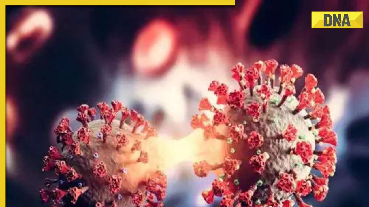 Eris vs BA 2.86: Which new Covid variant is more dangerous?