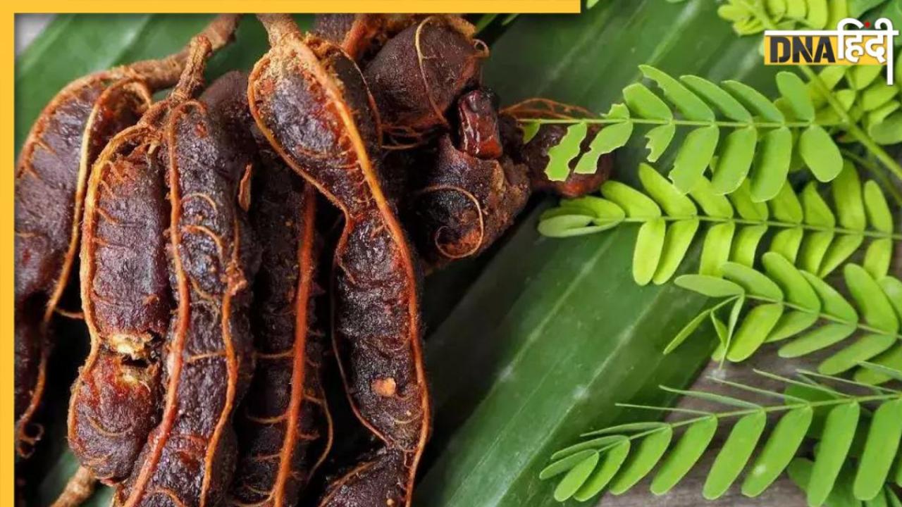 kidney Cleaning Remedy: आंत की चर्बी से लेकर खून की गंदगी तक साफ करेगी ये आयुर्वेदिक औषधि, छन जाएगी ब्लैडर-किडनी की गंदगी 