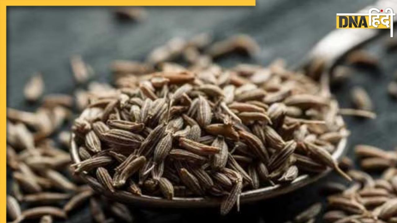 Jeera, Ajwain Black Salt Benefits: एक साथ मिलाकर करें इन 3 मसालों का सेवन, चुटकियों में दूर हो जाएंगी ये 8 बीमारियां 