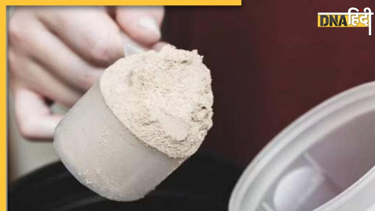 Homemade Protein Powder: मजबूत हड्डियों के लिए रोज पिएं ये होममेड प्रोटीन पाउडर, स्किन और बालों पर भी दिखेगा असर 