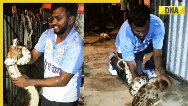 Viral video: Man's jaw-dropping tussle with enormous python stuns ...