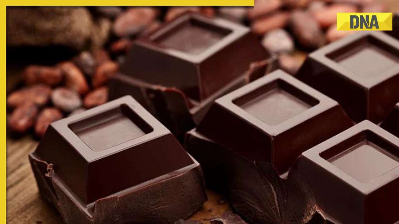 myth-or-fact-is-chocolate-craving-an-indication-of-magnesium-deficiency