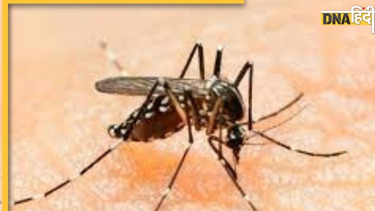 Zika virus Attack: मुंबई में जीका वायरस का हमला, जान लें इसके लक्षण और रोकथाम के उपाय