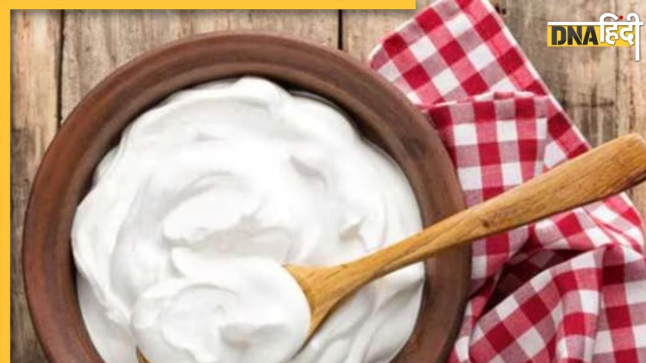 Curd For Weight Loss: दही के साथ मिलाकर खाएं ये हेल्दी चीजें, पिघल जाएगी लटकते पेट की चर्बी और वजन होगा कम 