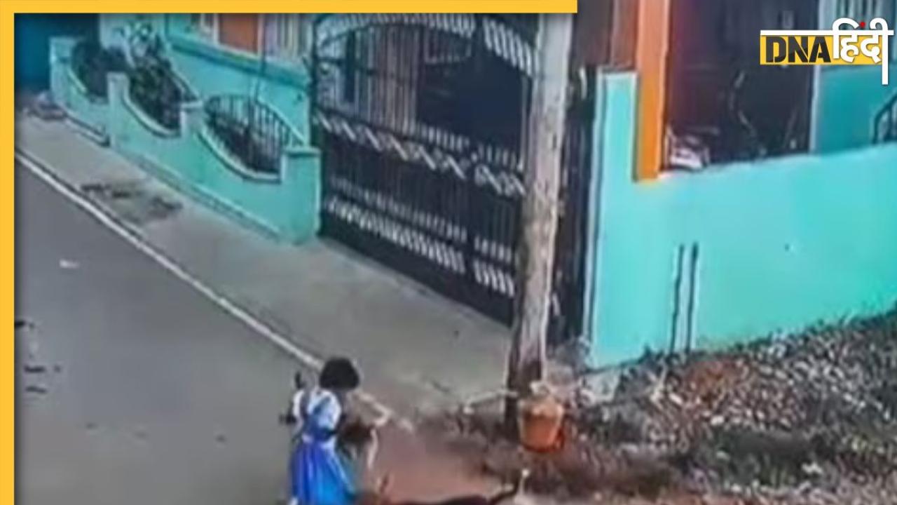 Dog attack viral video: स्कूल से आ रही बच्ची पर कुत्तों ने किया हमला, सड़क पर नोच नोच खाया, वीडियो