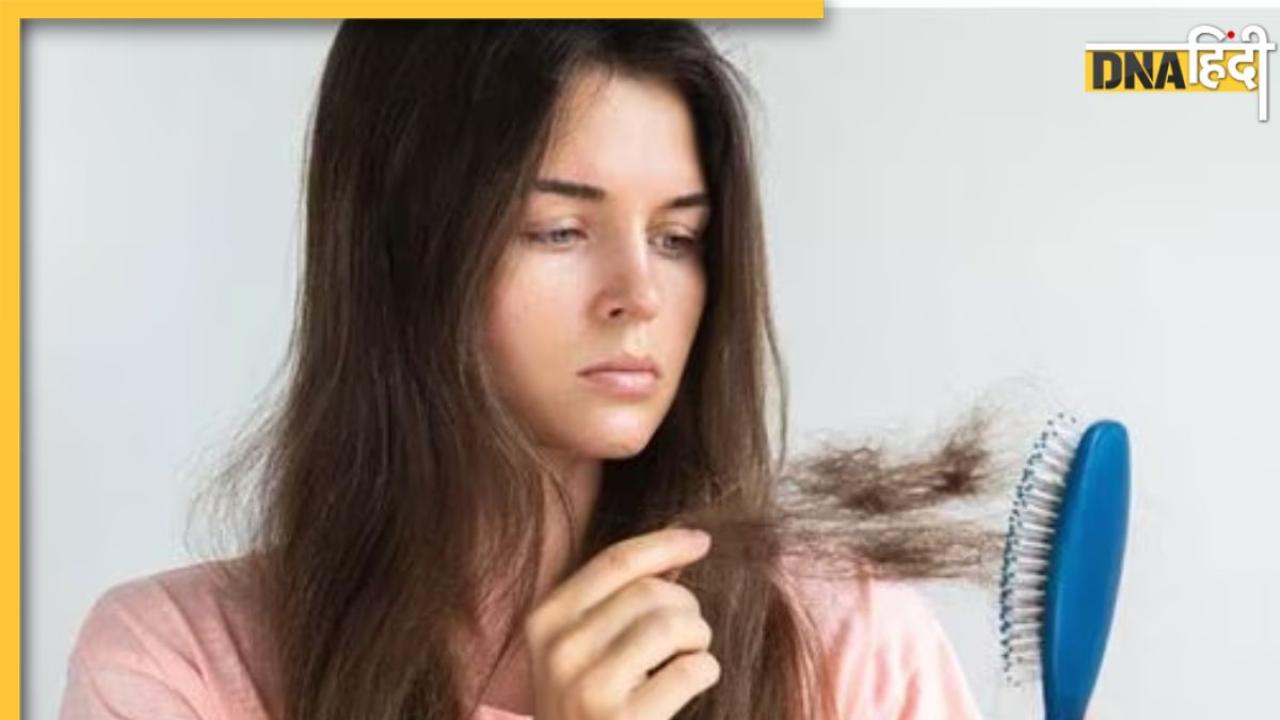 Herbs For Hair Growth: ये 4 जड़ी-बूटियां बढ़ा देंगी बालों का ग्रोथ, हेयर फॉल और डैंड्रफ की समस्या भी होगी दूर