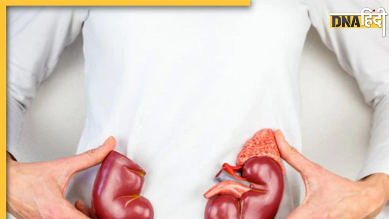 Kidney Health: इन 10 हैबिट्स के कारण खराब हो सकती है किडनी, आज ही छोड़ दे ये आदतें