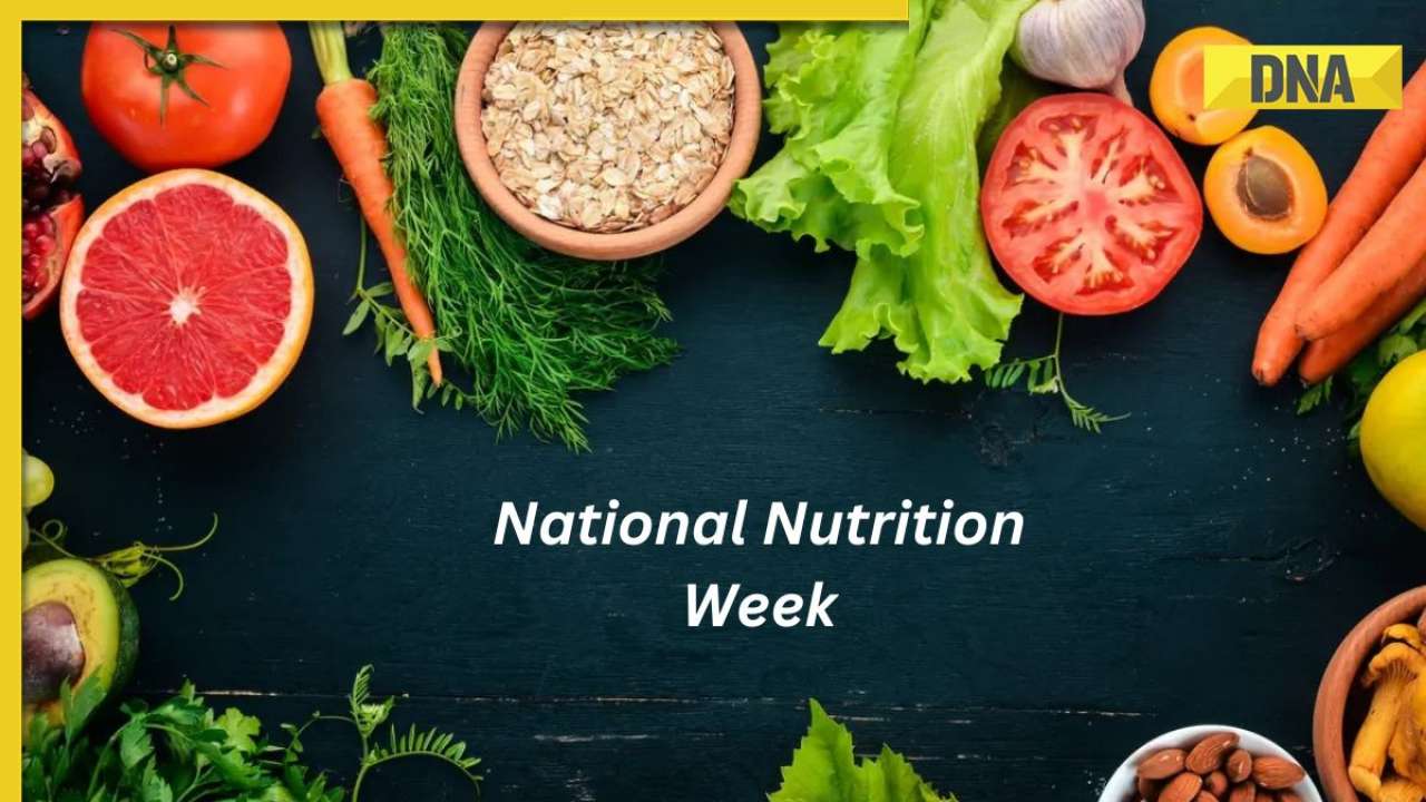 National Nutrition Week 2023: Understanding the importance of good fats