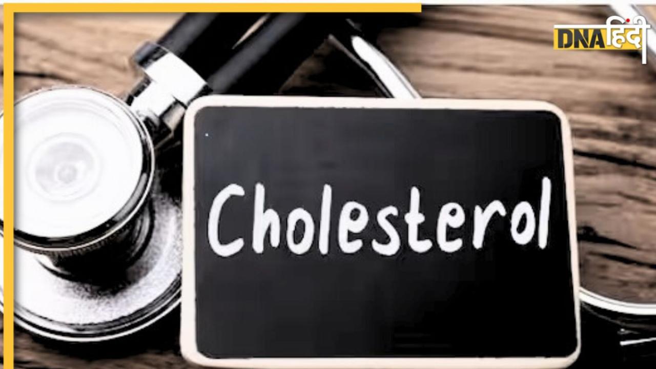 Bad Cholesterol Remedy: नसों की चर्बी बिना दवा इन 5 तरीकों से पिघलेगी, गंदा कोलेस्ट्रॉल निकेलगा शरीर से बहार