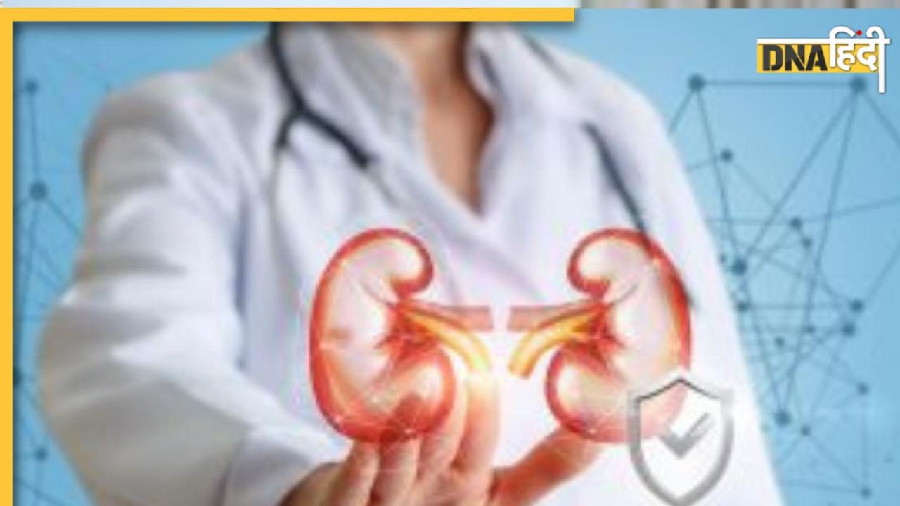 Kidney Detox Remedy: किडनी की फिल्टरेशन क्षमता बढ़ा देंगें ये 5 तरीके, शरीर की गंदगी निकलेगी बाहर