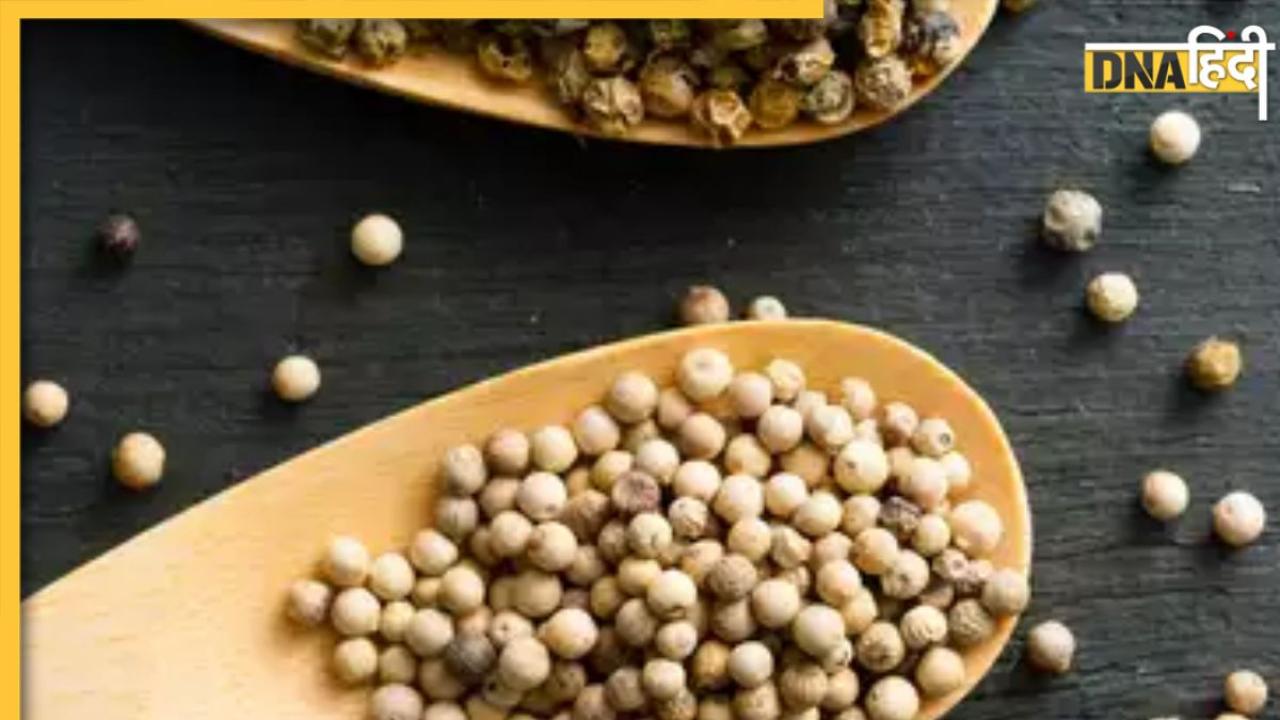 White Pepper Benefits: हार्ट से लेकर पेट तक की बीमारियां होंगी दूर, इस सफेद मिर्च के जान लें और भी फायदे