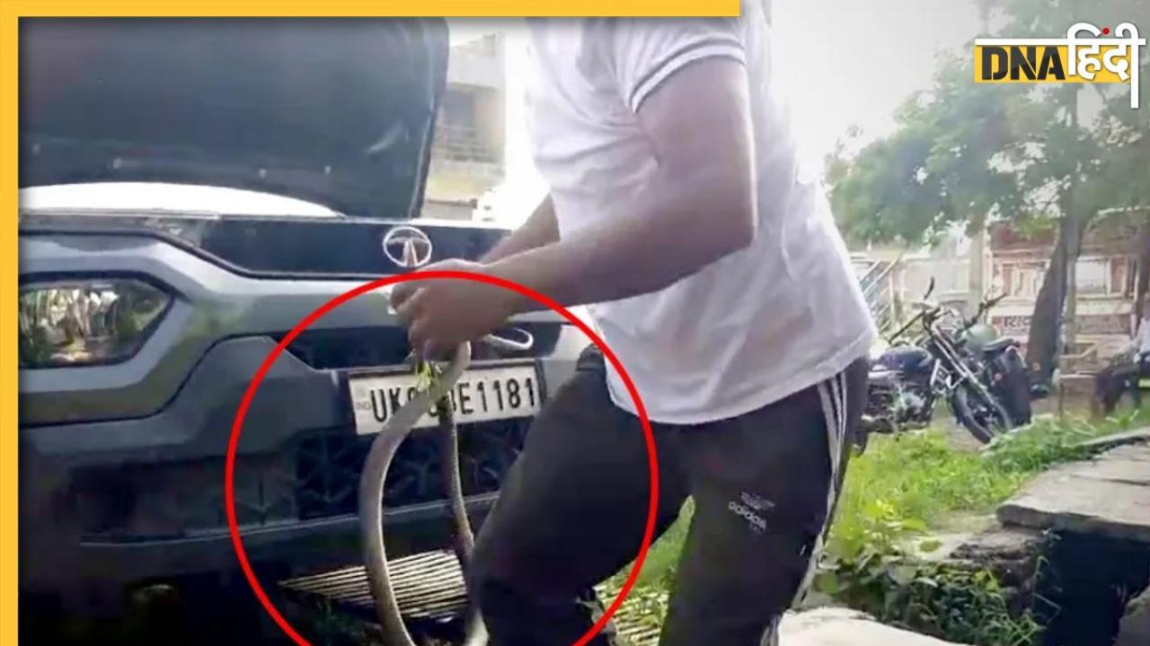 टाटा पंच SUV में छिपकर बैठा था King Cobra, देखकर शख्स के उड़े होश, देखें Video