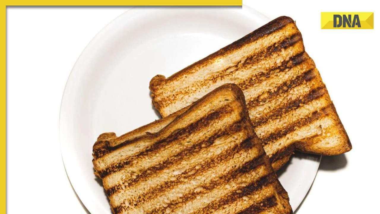 What is TikTok’s ‘burnt toast theory’, and how it can help Gen Zs with