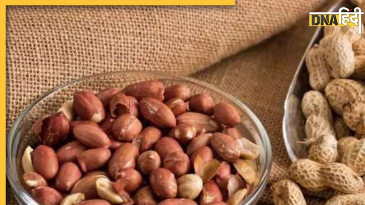 Soaked Peanuts Benefits: रोज सुबह खाएं भीगी हुई मूंगफली, दिमाग चलेगा कंप्यूटर से भी तेज, मिलेंगे और भी कई फायदे