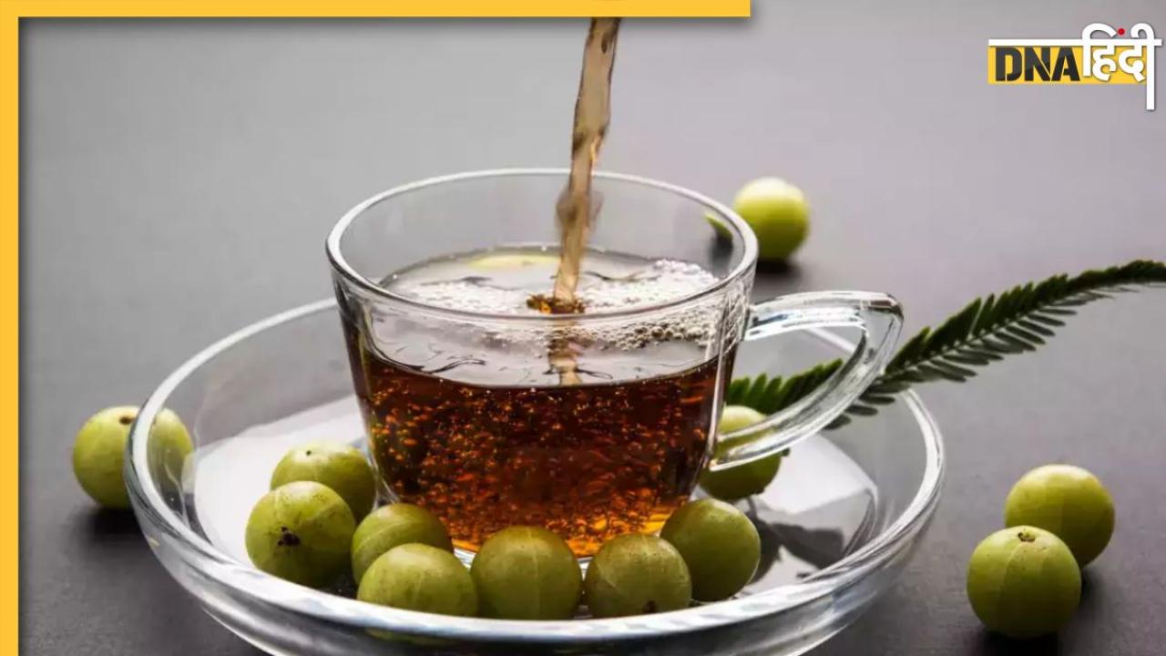 Amla Tea For Diabetes: डायबिटीज मरीज दिन में 2 बार पिएं इस फल से बनी चाय, कंट्रोल में रहेगा ब्लड शुगर और मोटापा