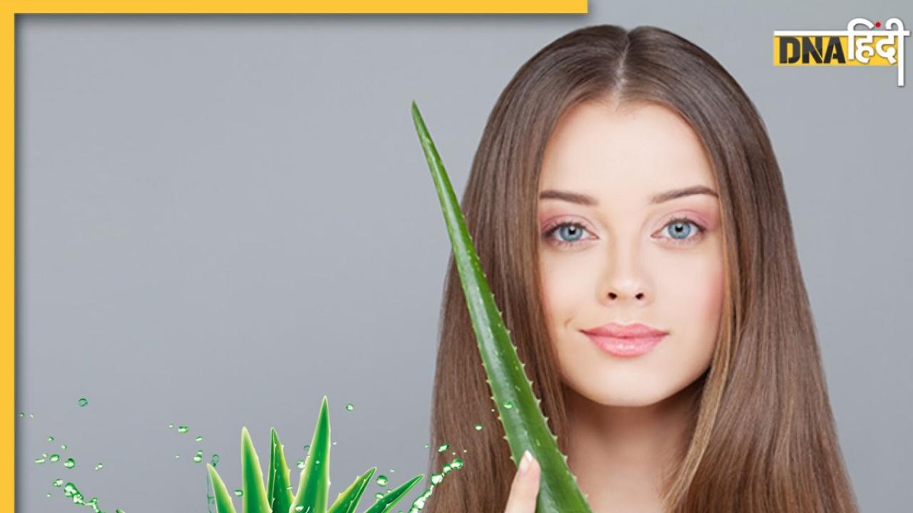 Aloe Vera For Hair Care: हेयर केयर के लिए बहुत ही फायदेमंद है एलोवेरा जेल, स्ट्रॉन्ग और शाइनी बालों के लिए ऐसे लगाएं