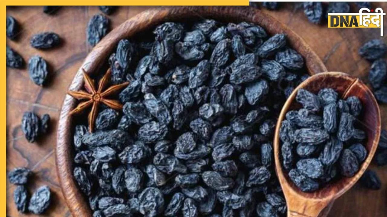 Black Raisins Benefits: ब्लड प्रेशर के हैं मरीज तो खाली पेट खाएं ये काली चीज, बीपी से लेकर कंट्रोल हो जाएगा हेयरफॉल