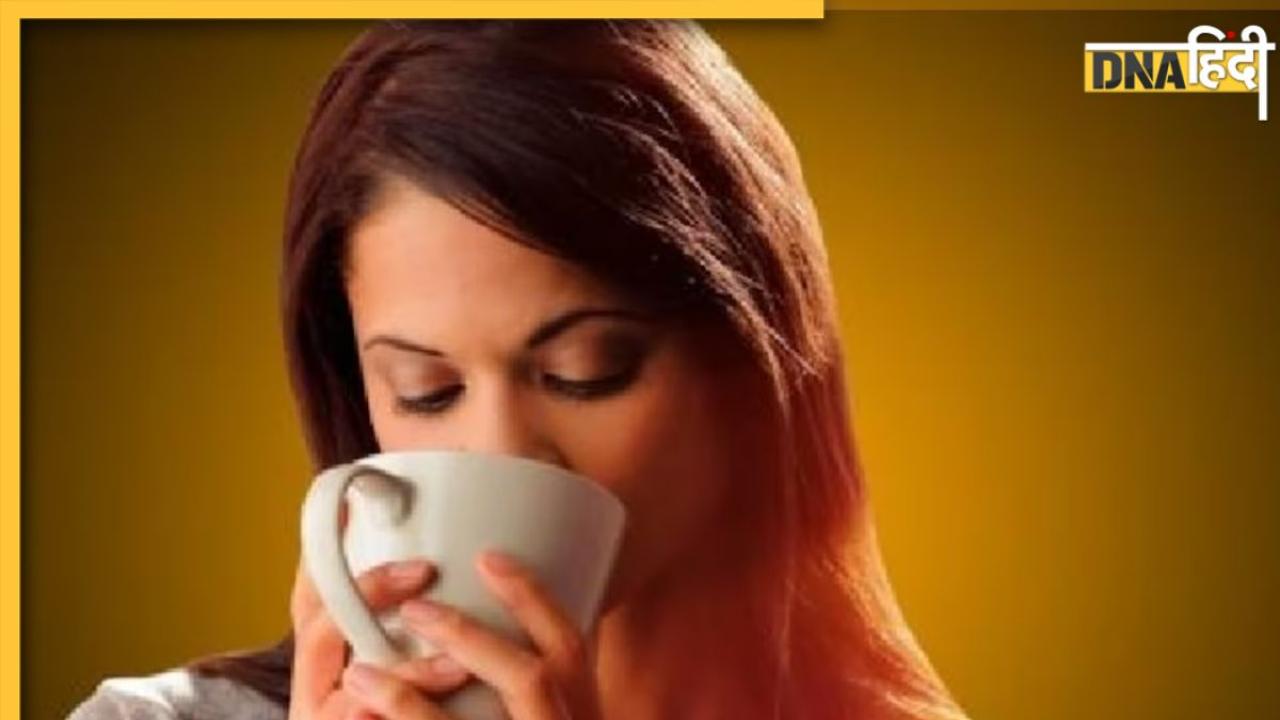 Kesar Tea Benefits: रोज पिएं इस लाल हर्ब से बनी चाय, दिमाग होगा तेज, मिलेंगे 5 जबरदस्त फायदे