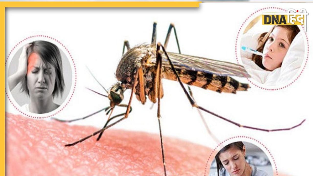 Dengue-Malaria: डेंगू-मलेरिया के लक्षणों में होता है बस ये एक अंतर, गलत इलाज से कैसे बचें