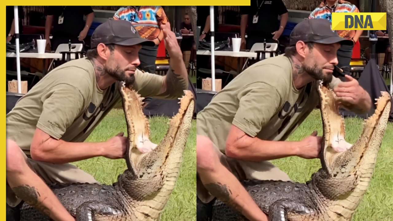 Viral video: Man attempts to insert hand into crocodile's jaws, what ...