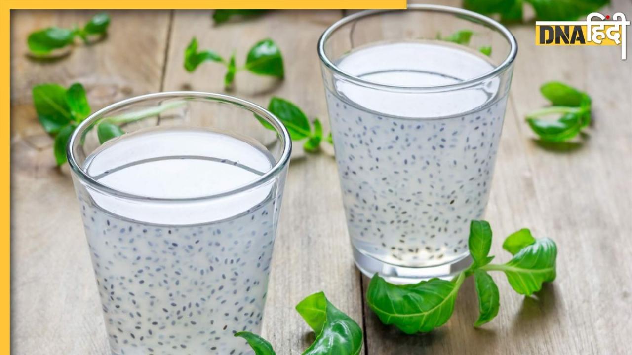 Basil Seed Water: डायबिटीज से लेकर मोटापे तक को दूर कर देगा इन बीजों का पानी, सेहत को मिलेंगे 4 और फायदे