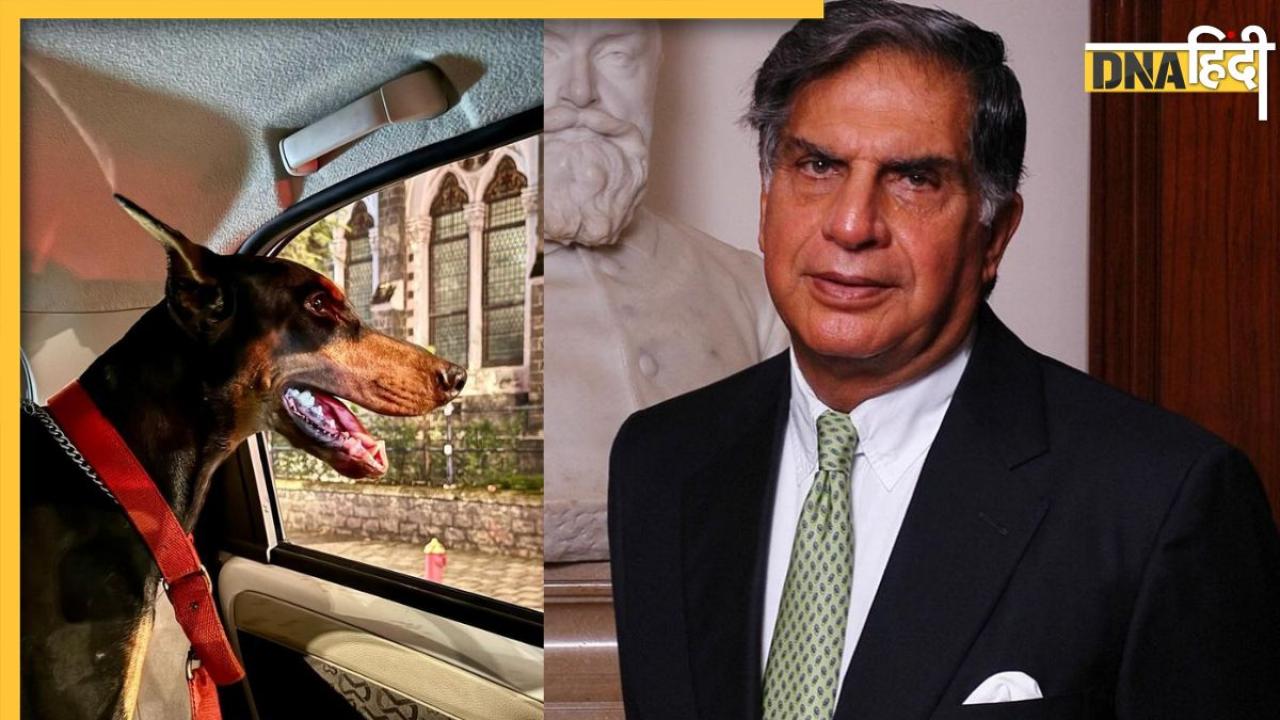 Ratan Tata को रात के अंधेरे में मिला जख्मी कुत्ता, पोस्ट शेयर कर लोगों से की ऐसी अपील 