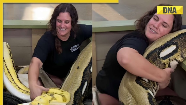 Viral video: Woman's chilling cuddle session with colossal pythons ...