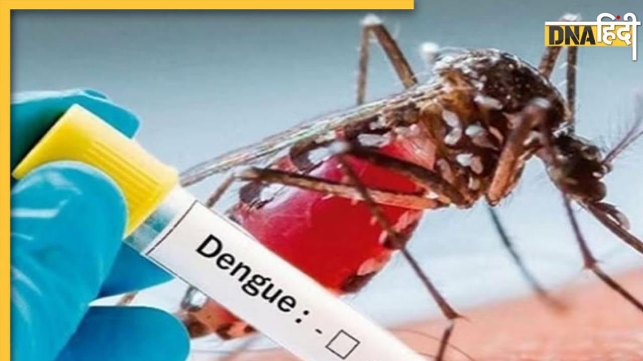 Dengue Treatment: बिना अस्पताल जाए, घर पर ही रख सकते हैं डेंगू के मरीज का ख्याल, सिर्फ इन बातों का रखें ध्यान