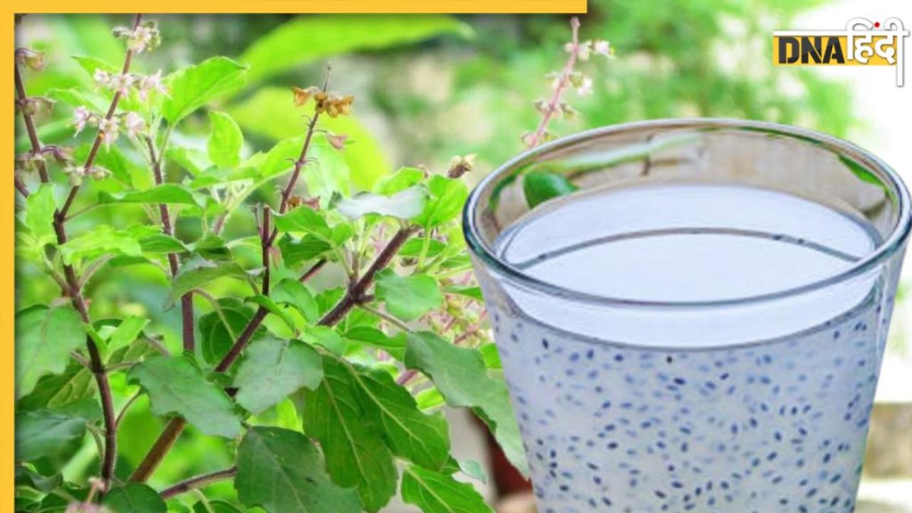 Benefits of Tulsi Beej: डायबिटीज से पेट तक की समस्याओं का रामबाण इलाज हैं ये काले बीज, जानें सेवन का सही तरीका