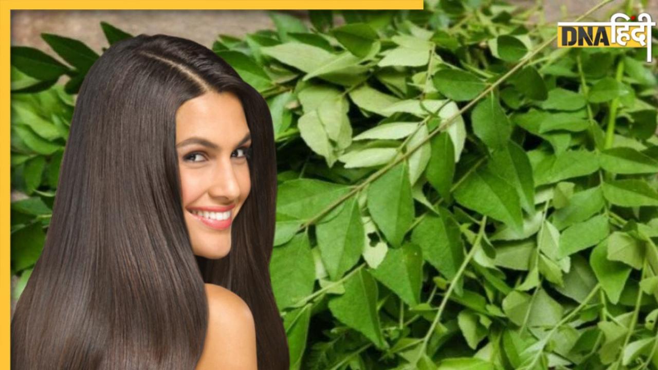 Curry Leaves For Hair: हेयर ग्रोथ के लिए रामबाण है करी पत्ता, लंबे-घने बालों के लिए ऐसे करें इस्तेमाल
