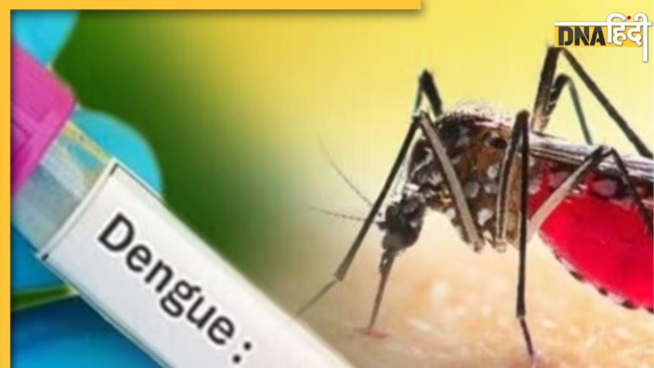 Dengue Fever: कितने दिन रहता है डेंगू? संक्रमण के समय से लेकर लक्षणों तक के बारे में जानें सबकुछ