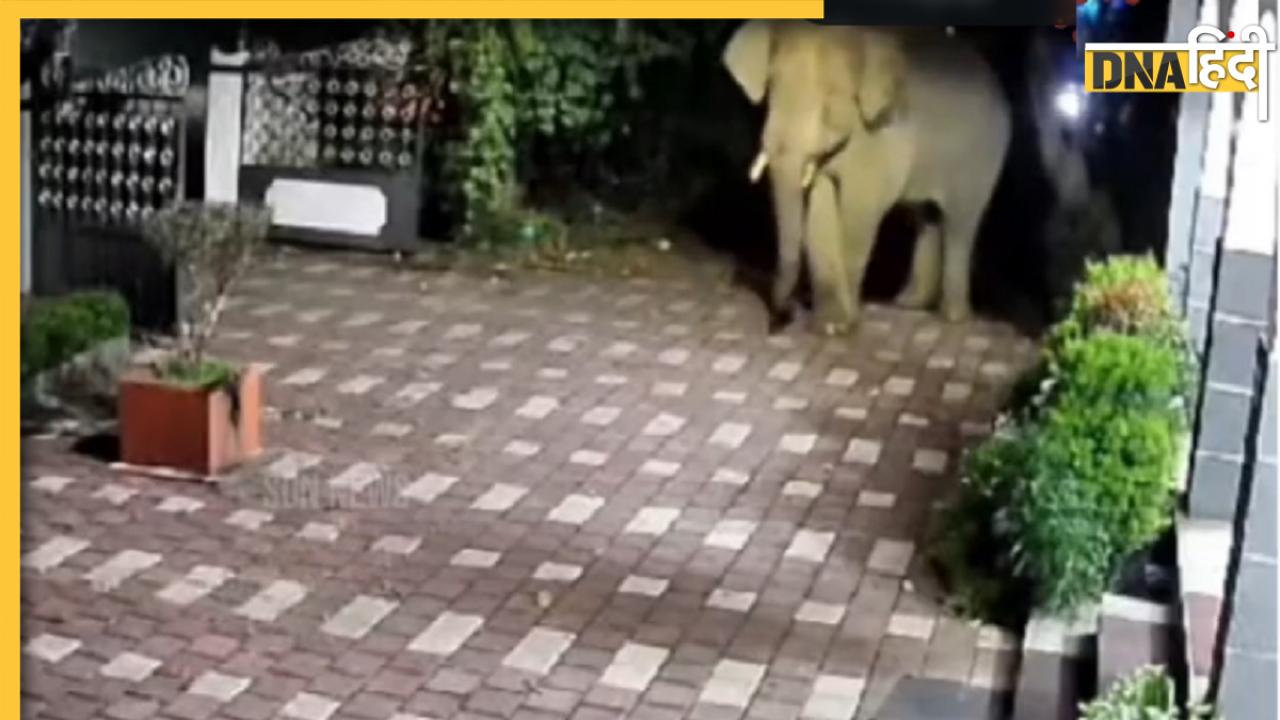 Tami Nadu Elephant Attack Video: वन अधिकारियों पर जंगली हाथी ने किया हमला, वीडियो देख सहम जाएंगे