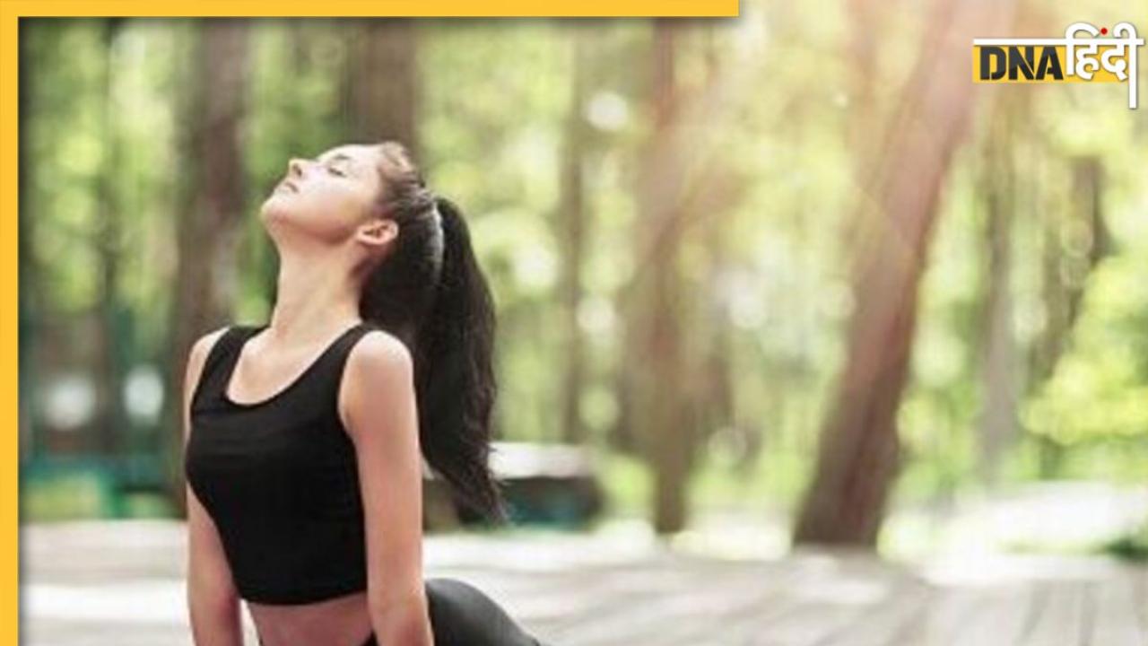 Yoga For Stay Healthy: डेली रूटीन में शामिल करें ये 5 योग, 50 के बाद भी रहेंगे फिट एंड फाइन