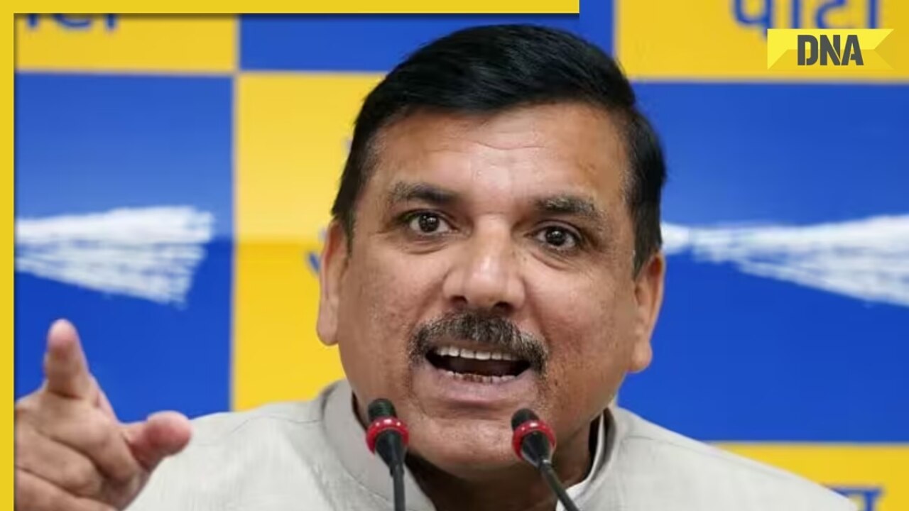 'If you want to give a speech on Adani and Modi...': Delhi Court warns