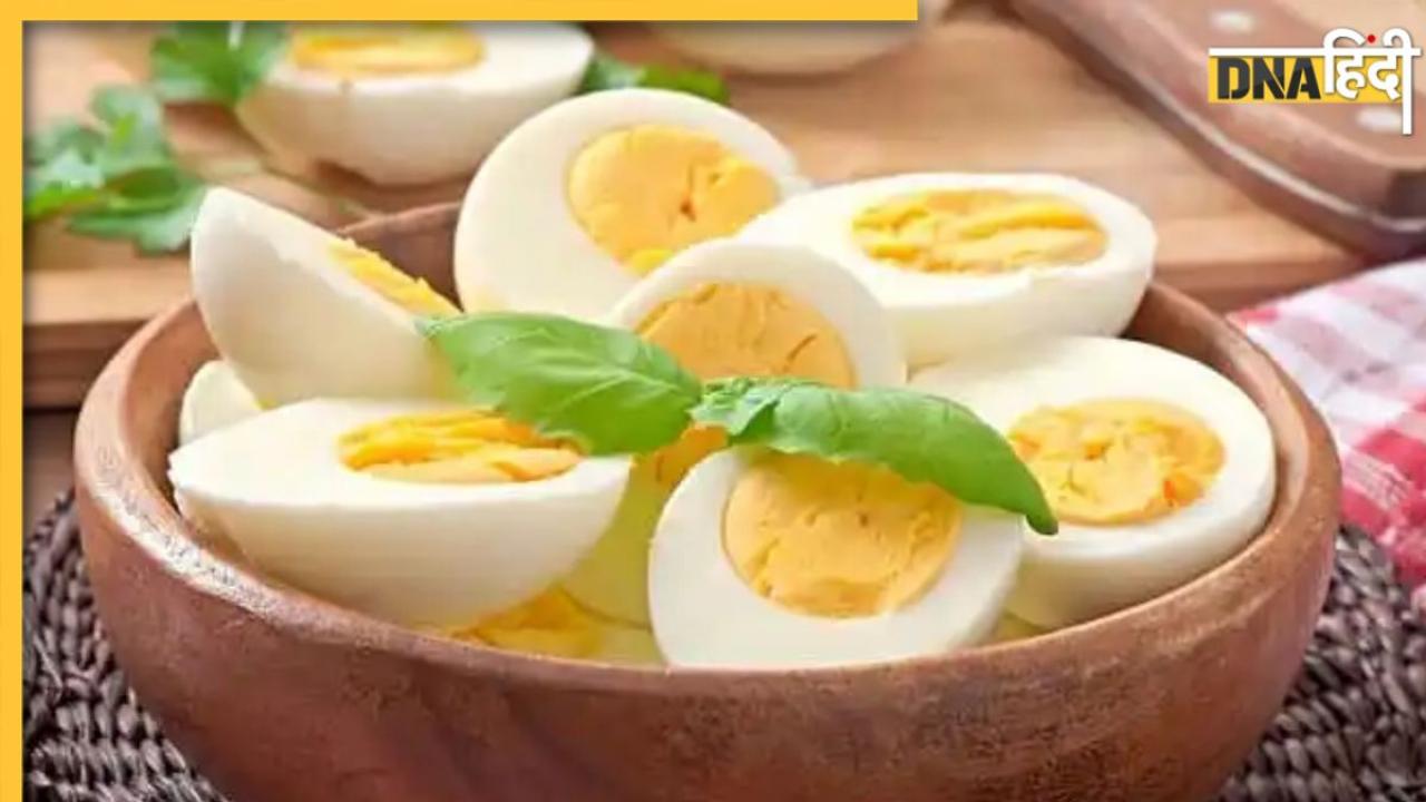 Egg Side Effects: इन 4 लोगों का स्वास्थ्य बिगाड़ सकता है अंडा, भूलकर भी न खाएं