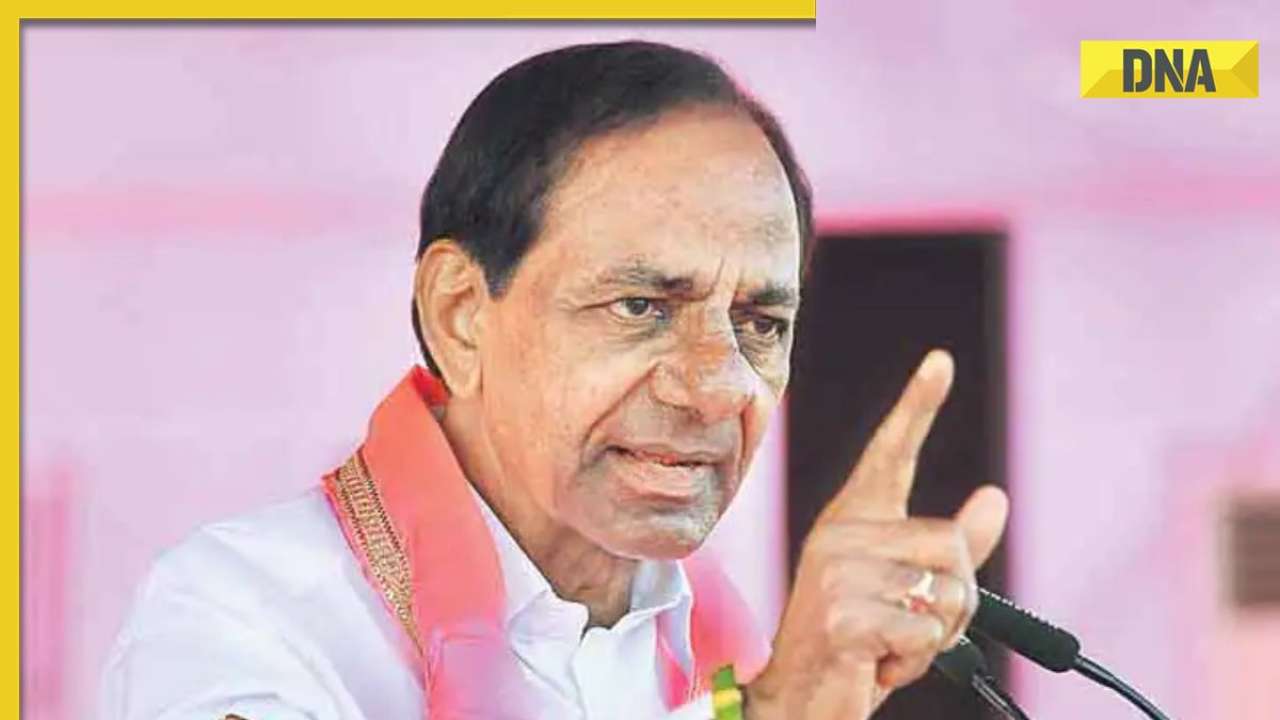 Telangana Elections 2023 LPG At Rs 400 To Increased Social Security telangana-elections-2023-lpg-at-rs-400-to-increased-social-security