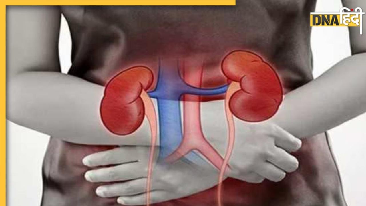 Healthy Kidney Tips: इन आदतों से फेल हो सकती है किडनी, 5 तरीकों से रखें ध्यान